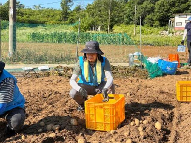 [NSP NEWS Image]동해시, 농가 일손돕기부터 취약계층 나눔·디지털 교육까지 상생 봇물