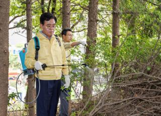 (NSP NEWS Image)[우리동네 안전 주의보]강서구, 러브버그 집중 방역…민원 969건에서 37건으로 감소