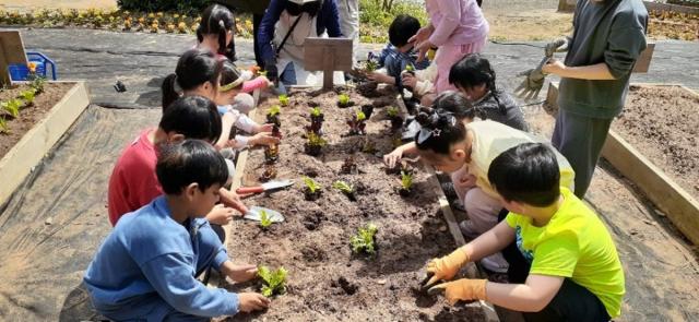 [NSP NEWS Image]고양시, 학교 치유 텃밭 표준 매뉴얼 보급