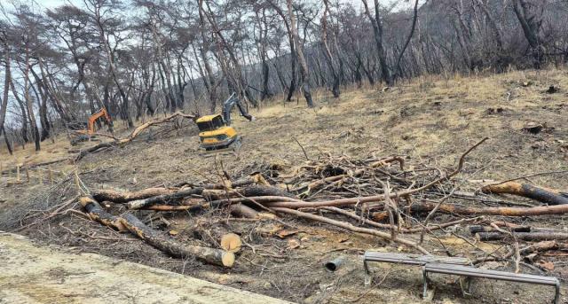 [NSP NEWS Image]의성군, 산불피해목 제거사업 산림조사 및 실시설계 추진