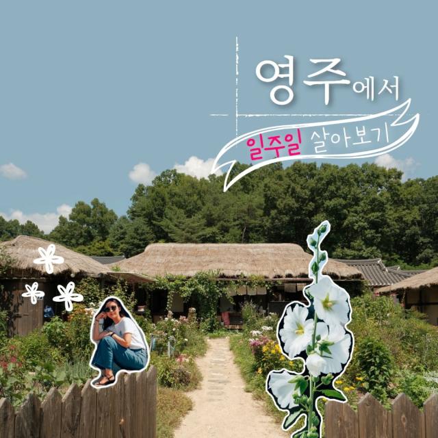 [NSP NEWS Image]영주시, ‘일주일 살아보기’ 및 ‘숙박형 투어’ 사업 참여자 모집