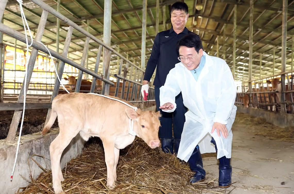 -강진원 강진군수가 한우농가를 방문해 사육 현장을 살펴보고 있다. (사진 = 강진군)
