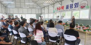 (NSP NEWS Image)경기도농업기술원, 양평 수박 신품종 평가회 개최… ‘조생흑미’ 당도·식감 사로잡으며 종합 1위