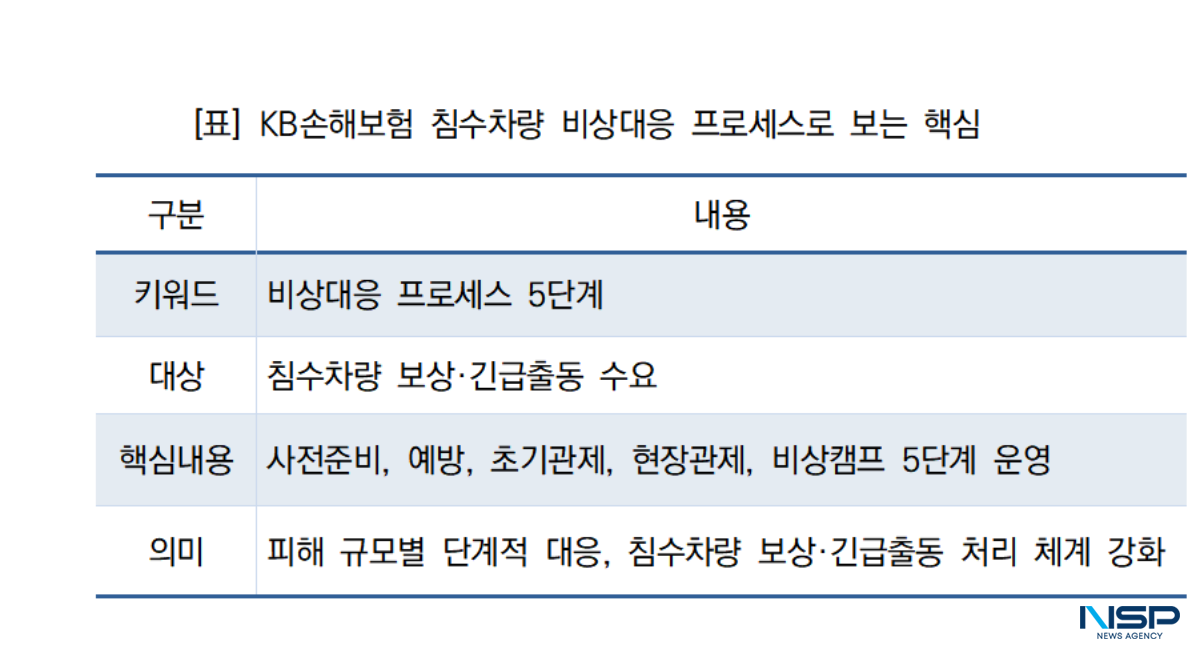 -KB손해보험 침수차량 비상대응 프로세스로 보는 핵심 (표 = NSP통신)