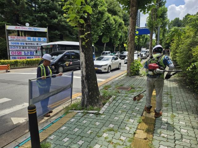 [NSP NEWS Image]군포시, 7월 한 달간 대대적 도로변 제초작업…쾌적한 도시환경 조성