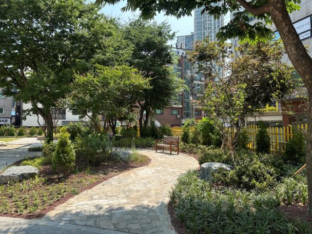 [NSP NEWS Image]용인시, 신갈초·초당중 학교숲 조성…“아이들 품에 녹색 쉼터를”