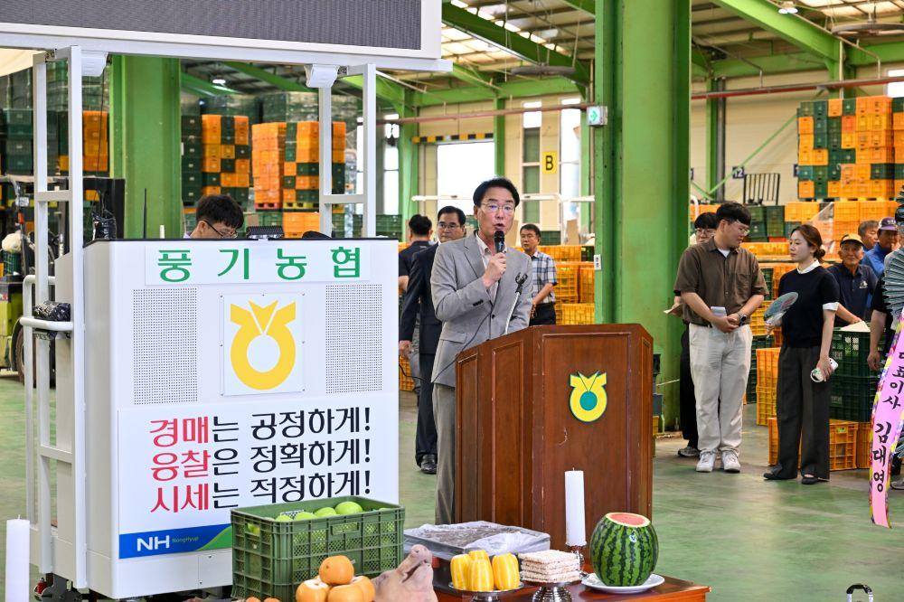 -올해 영주 여름사과 본격 출하 관내 공판장 2곳 개장, 썸머킹·썸머프린스 출하 시작 공판장 중심 산지유통 활성화 기대 (사진 = 영주시)