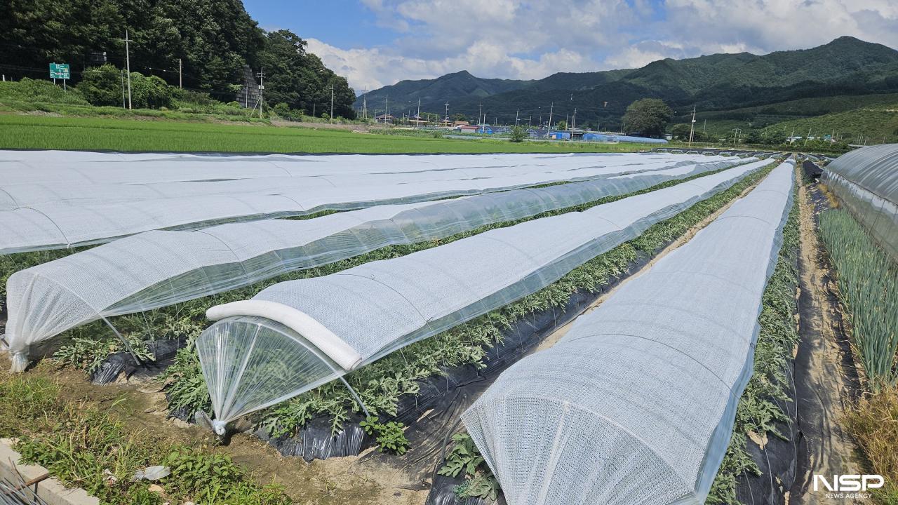 -(사진 = 진안군)