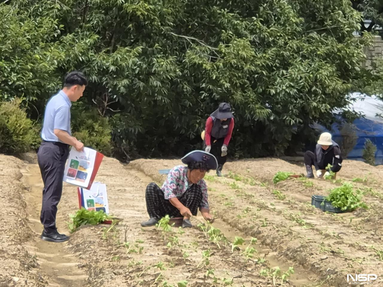 -(사진 = 완주군)