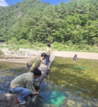 (NSP NEWS Image)영양군, 여름철 폭염·수상안전사고 예방 현장 점검