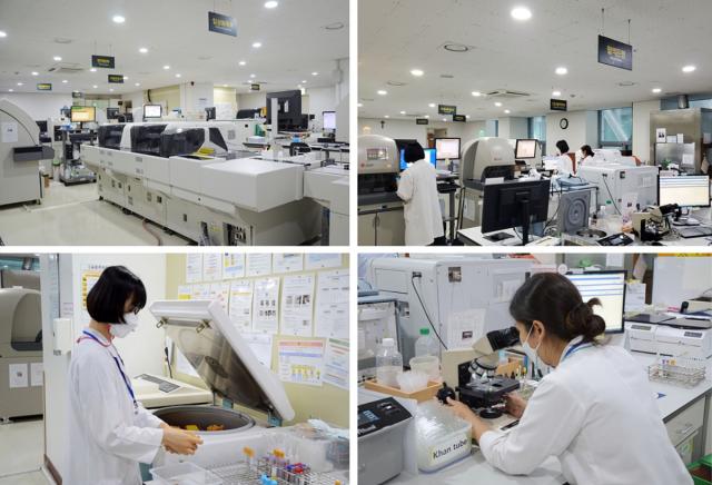 -포항성모병원이 대한진단검사의학회와 진단검사의학재단이 시행하는 우수검사실 인증을 획득하며 검사실의 우수한 운영 역량과 검사 신뢰성을 다시 한번 인정받았다. (사진 = 포항성모병원)