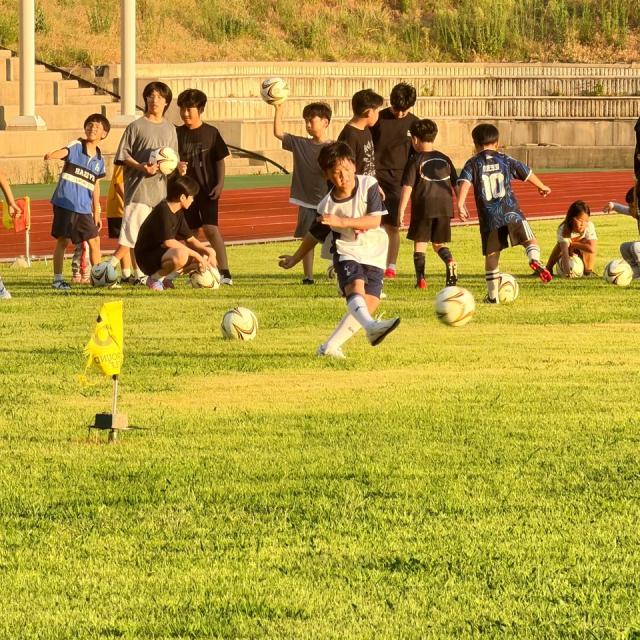 -태하공설운동장의 잔디위에서 울릉군 내 어린이 20여명이 축구교실에 참여하고 있다. (사진 = 김민정 취재)