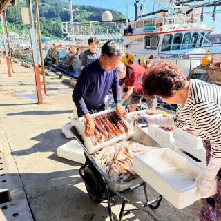 (NSP NEWS Image)“반갑다 오징어”, 휴가철 울릉도 오징어가 저동 어판장을 채우며 활기가득