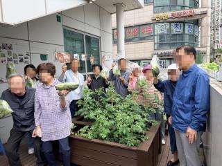 (NSP NEWS Image)용인 기흥구보건소, 경증치매환자 치유농업 프로그램 ‘씨앗에서 밥상까지’ 성료