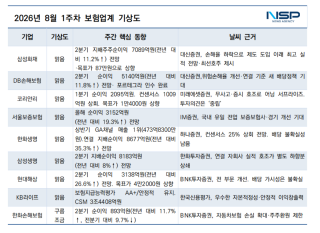 (NSP NEWS Image)[보험업계기상도]8월 첫째 주 ‘맑음’ 우세…한화손보, ‘구름 조금’