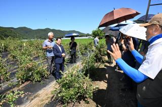 (NSP NEWS Image)성중기 완주군의장, 블루베리연구회와 현장간담회
