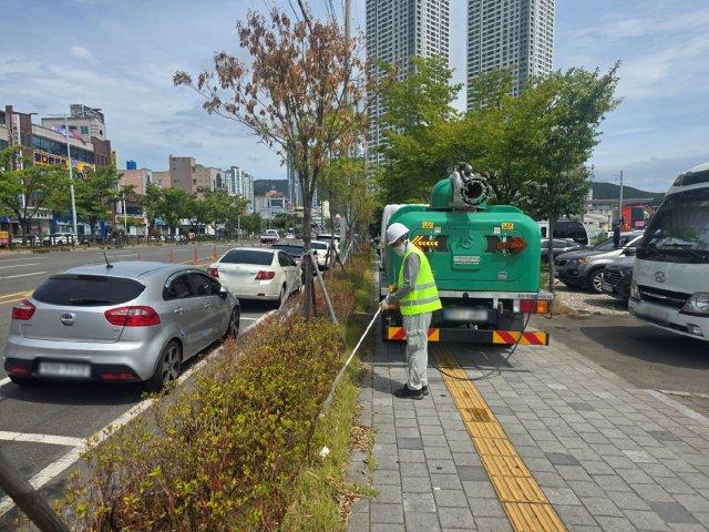 도로변 가로수 집중 관수를 하고 있다 (사진 = 광양시청)