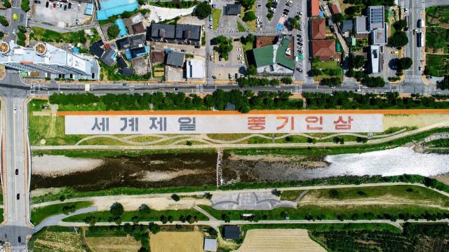 영주시 남원천 하천둔치 정비로 이용 편의 높여, 차도블록으로 주차환경 개선 풍기인삼 상징경관도 조성 (사진 = 영주시)