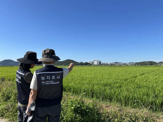 조사원이 실제 농지 이용 상황 확인 하고 있다 (사진 = 국립농산물품질관리원 곡성구례사무소)