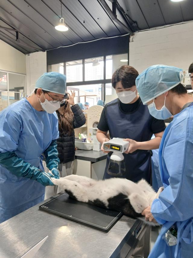 찾아가는 동물보호시설 진료활동 지원 모습. (사진 = 경기도)