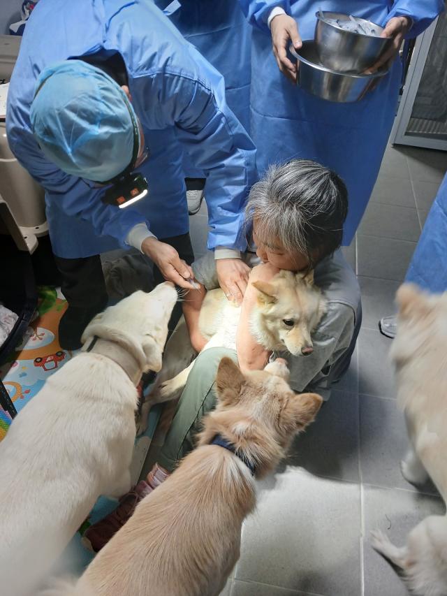 찾아가는 동물보호시설 진료활동 지원 모습. (사진 = 경기도)