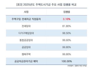 (NSP NEWS Image)디딤돌·버팀목 대출 99% ‘은행 돈’…기금 직접융자 1% 미만
