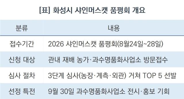 화성시 샤인머스캣 품평회 개요 (표 = 조현철)