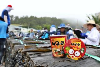(NSP NEWS Image)농심, 완도 햇다시마 490톤 구매…누적 구매량 약 1만 8500톤