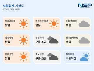(NSP NEWS Image)[보험업계기상도]8월 넷째 주 손보 ‘흐림’·생보 ‘맑음’