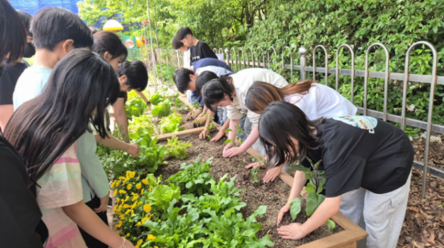(NSP NEWS Image)“교실 옆 텃밭서 배우는 생명의 소중함”…의왕시, ‘스쿨팜’ 생태교육 활성화