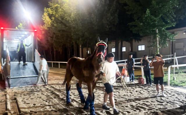 ‘코리아컵(IG2, 1800m)’과 ‘코리아스프린트(IG3, 1200m)’는 국내 단 두 개 뿐인 국제 초청 경주마 대회로서, 한국마사회가 2016년 처음 주최해 올해로 10주년을