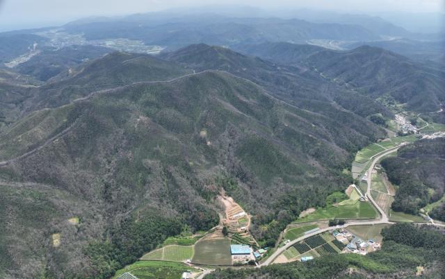 경상북도가 초대형 산불 피해를 본 5개 시·군에 ‘1시·군 1산림경영특구’ 지정을 완료하고 지역별 특성을 살린 산림 재건에 나선다. 산림경영특구 제3호 영덕 (사진 = 경상북도)