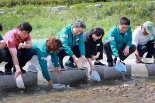 (NSP NEWS Image)예천군, 남본리 한천에서 치어 방류 행사 열어
