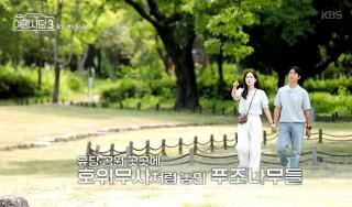 (NSP NEWS Image)광양, 역사·예술·시장·자연 잇는 ‘시간여행 코스’ 눈길