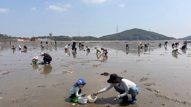 두서 갯벌체험 모습. (사진 = 경기도)