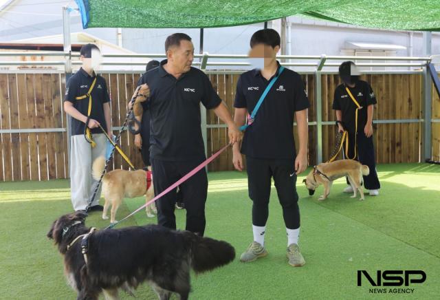 이웅종 교수가 산책 교육을 하는 모습. (사진 = 김종식 기자)